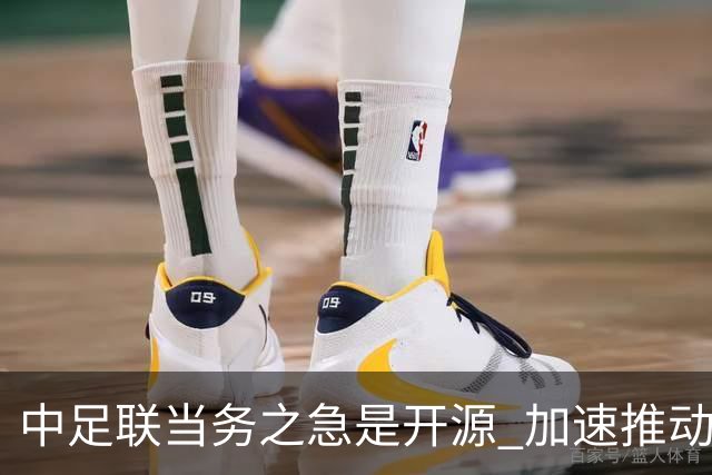 中足联当务之急是开源 加速推动中国足球职业化